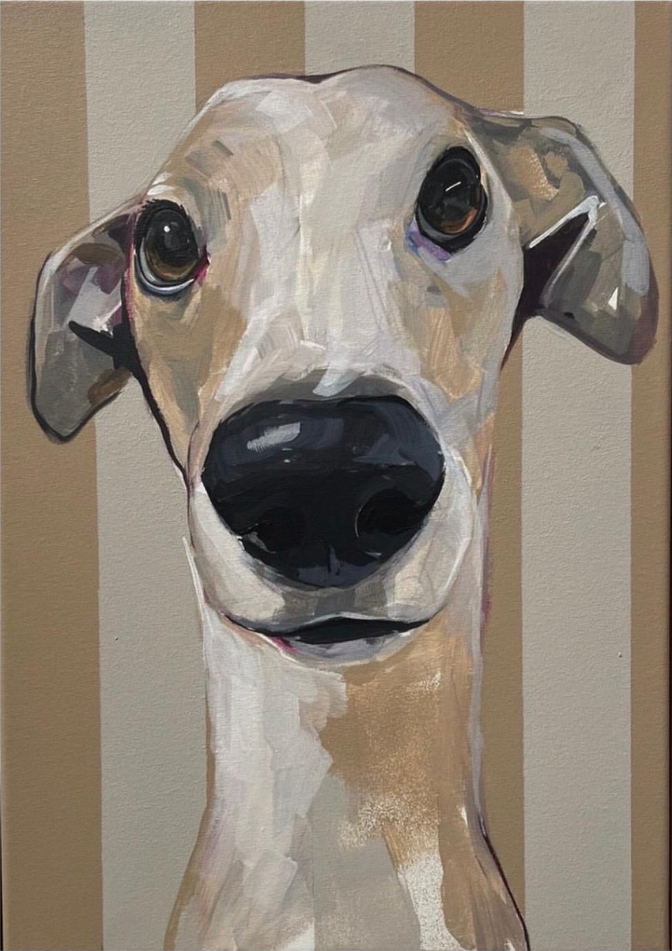 Galgo a rayas