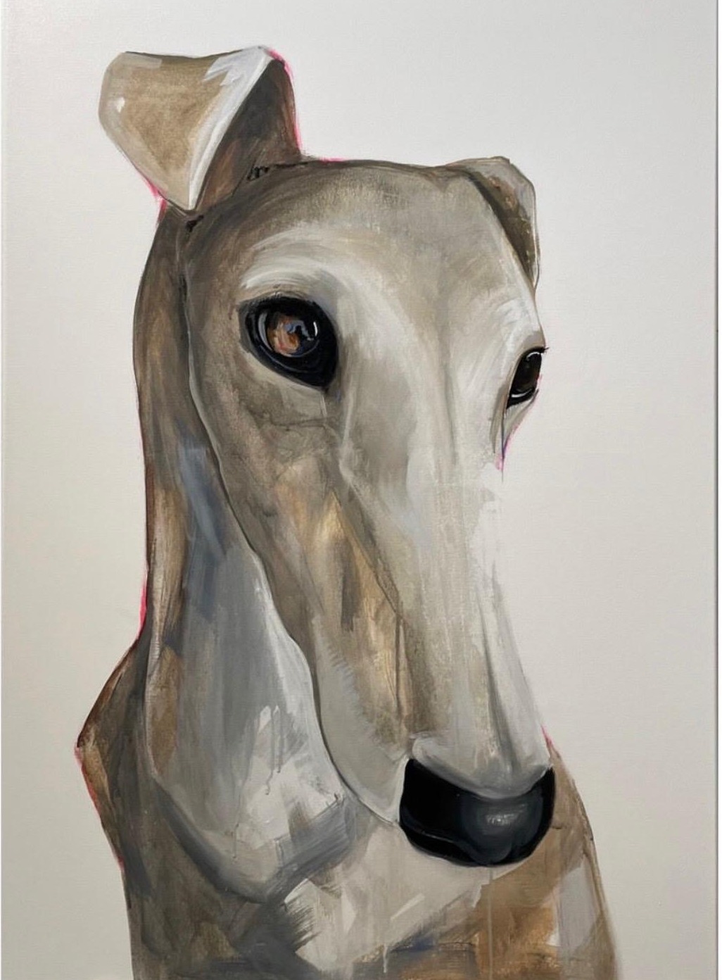 Galgo blanco sobre blanco