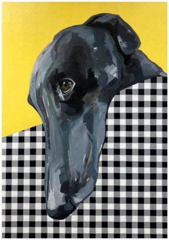 Galgo vichy
